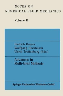 Advances in Multi-Grid Methods