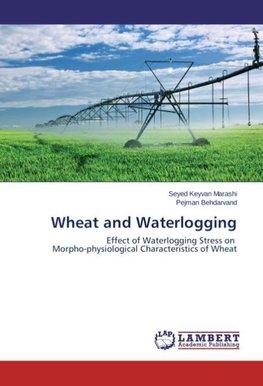 Wheat and Waterlogging