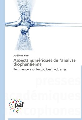 Aspects numériques de l'analyse diophantienne