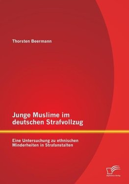 Junge Muslime im deutschen Strafvollzug: Eine Untersuchung zu ethnischen Minderheiten in Strafanstalten