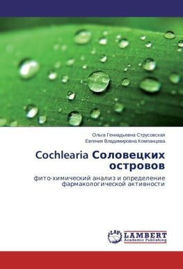 Cochlearia Solovetskikh ostrovov