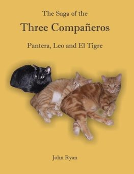 The Saga of the Three Compañeros