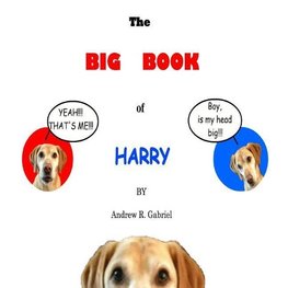 The Big Book of Harry