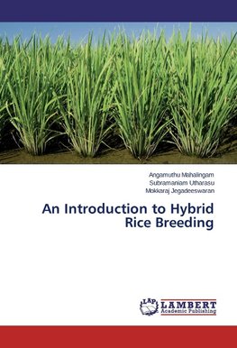 An Introduction to Hybrid Rice Breeding