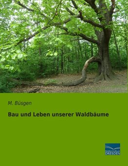 Bau und Leben unserer Waldbäume