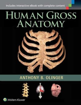 Olinger, A: Human Gross Anatomy