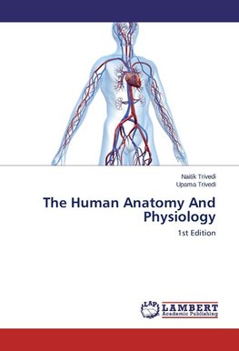 The Human Anatomy And Physiology