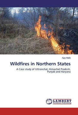 Wildfires in Northern States