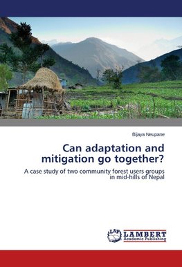 Can adaptation and mitigation go together?