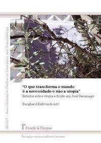 "O que transforma o mundo é a necessidade e não a utopia"