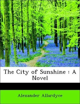 The City of Sunshine : A Novel