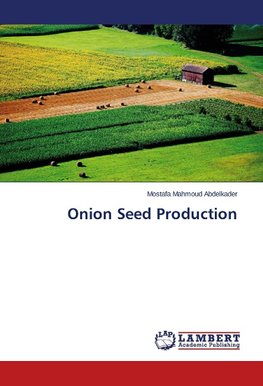 Onion Seed Production