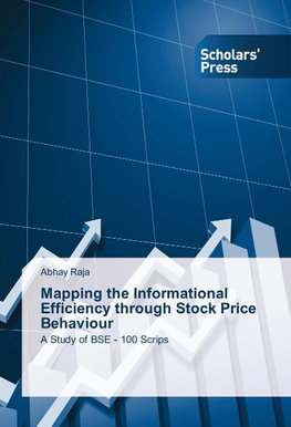 Mapping the Informational Efficiency through Stock Price Behaviour