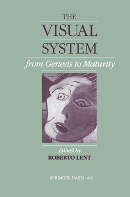 The Visual System from Genesis to Maturity