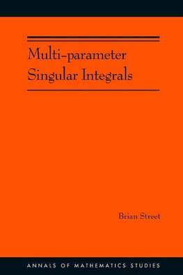 Multi-parameter Singular Integrals, Volume I