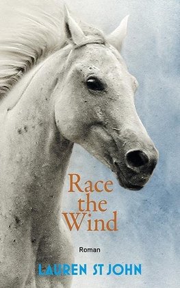 Race the Wind 02