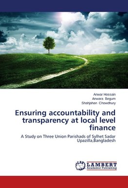 Ensuring accountability and transparency at local level finance