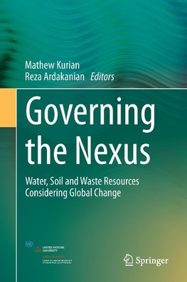Governing the Nexus