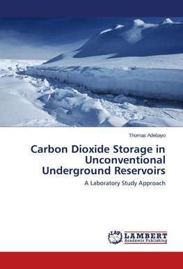 Carbon Dioxide Storage in Unconventional Underground Reservoirs