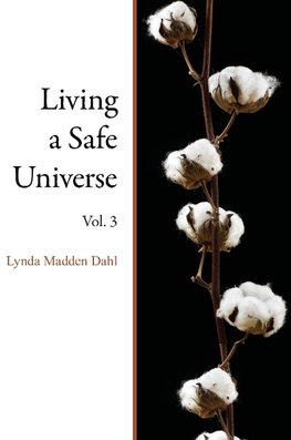 Living a Safe Universe, Vol. 3