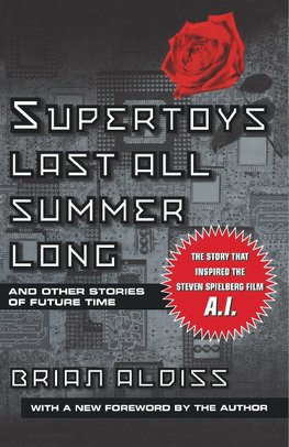 Supertoys Last All Summer Long
