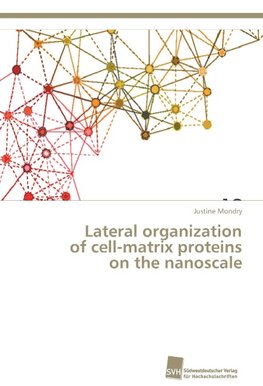Lateral organization of cell-matrix proteins on the nanoscale