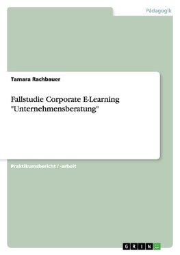 Fallstudie Corporate E-Learning "Unternehmensberatung"