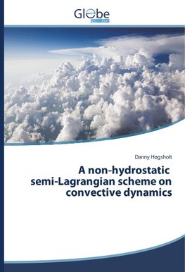 A non-hydrostatic semi-Lagrangian scheme on convective dynamics