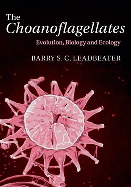 The Choanoflagellates