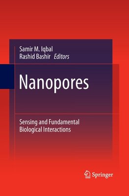 Nanopores