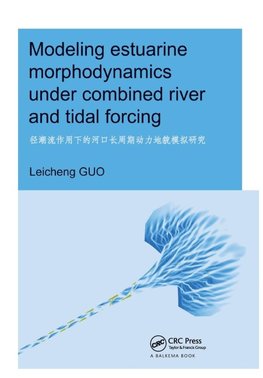Modeling Estuarine Morphodynamics under Combined River and Tidal Forcing