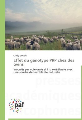 Effet du génotype PRP chez des ovins