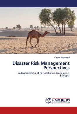 Disaster Risk Management Perspectives