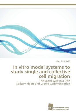 In vitro model systems to study single and collective cell migration