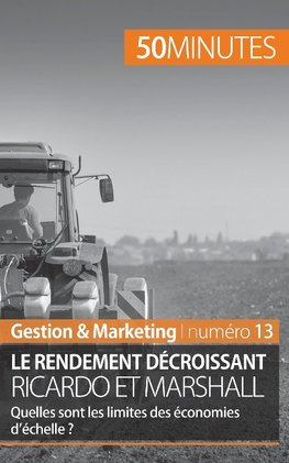 Théorie des rendements décroissants