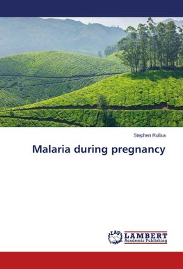 Malaria during pregnancy