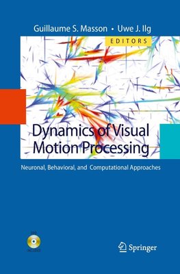 Dynamics of Visual Motion Processing