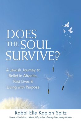 Does the Soul Survive? (2nd Edition)
