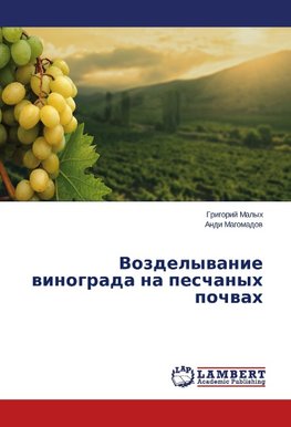 Vozdelywanie winograda na peschanyh pochwah