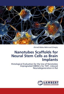 Nanotubes Scaffolds for Neural Stem Cells as Brain Implants