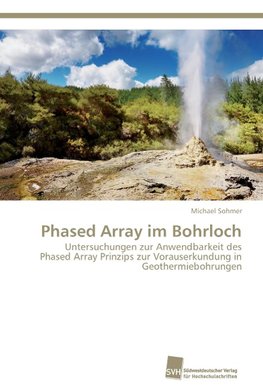 Phased Array im Bohrloch