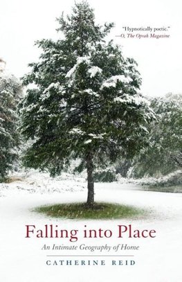 Falling into Place