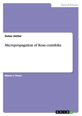 Micropropagation of Rosa centifolia