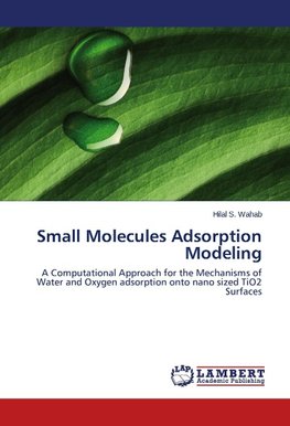 Small Molecules Adsorption Modeling