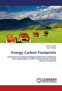 Energy Carbon Footprints