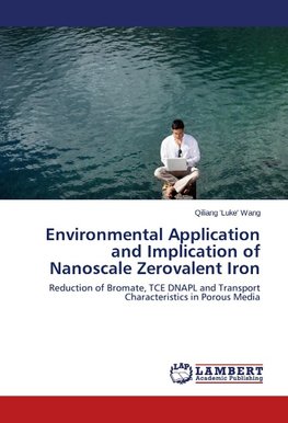 Environmental Application and Implication of Nanoscale Zerovalent Iron