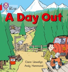 BIG CAT - DAY OUT