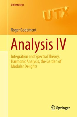 Analysis IV