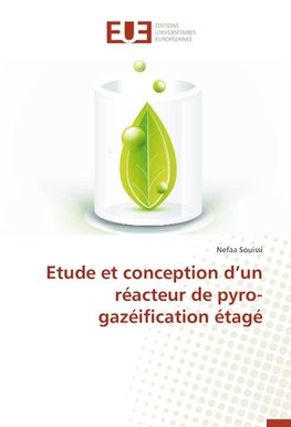 Etude et conception d'un réacteur de pyro-gazéification étagé