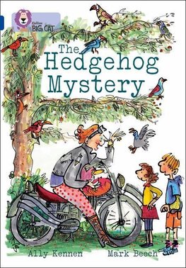 BIG CAT - HEDGEHOG MYSTERY